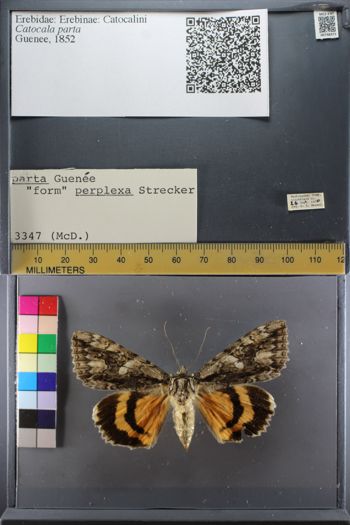 Media type: image;   Entomology 748371